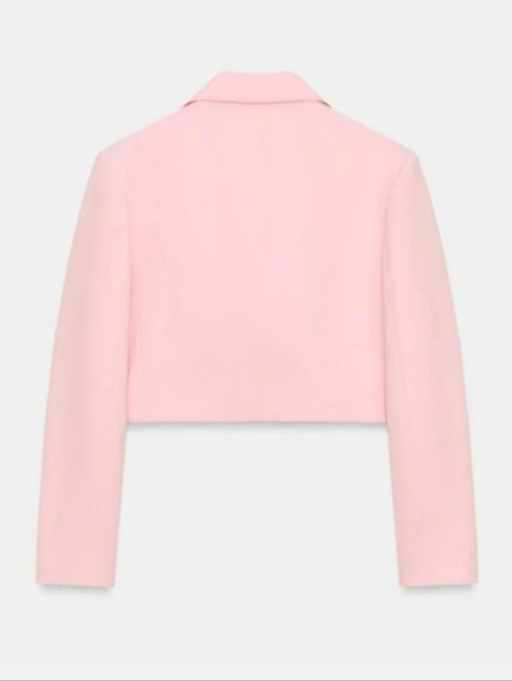 Zara Set 2 Pc Blazer & Pleated Shorts Pink Size M/L